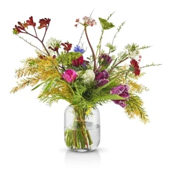 Eva Solo Vaser & Lysestager^Acorn vase - 16,5 cm - Clear