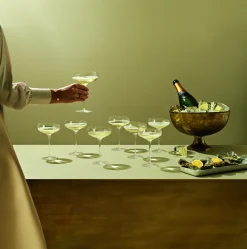 Eva Solo Vinglas^Champagne Coupe champagneglas - 20 cl - 1 stk.