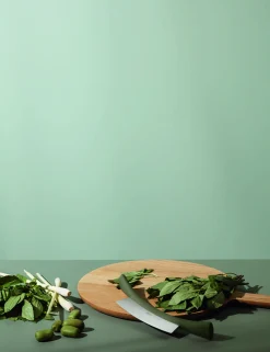 Eva Solo Køkkenknive^Green tools Vuggekniv