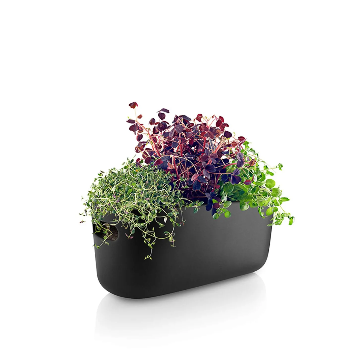 Eva Solo Selvvandende Potter^Herb organiser - Selvvandende - Sort
