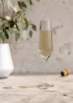 Eva Solo Vinglas^Legio Nova champagneglas - 26 cl - 6 stk.