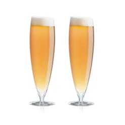Eva Solo Ølglas^Ølglas - 2 stk - 50 cl