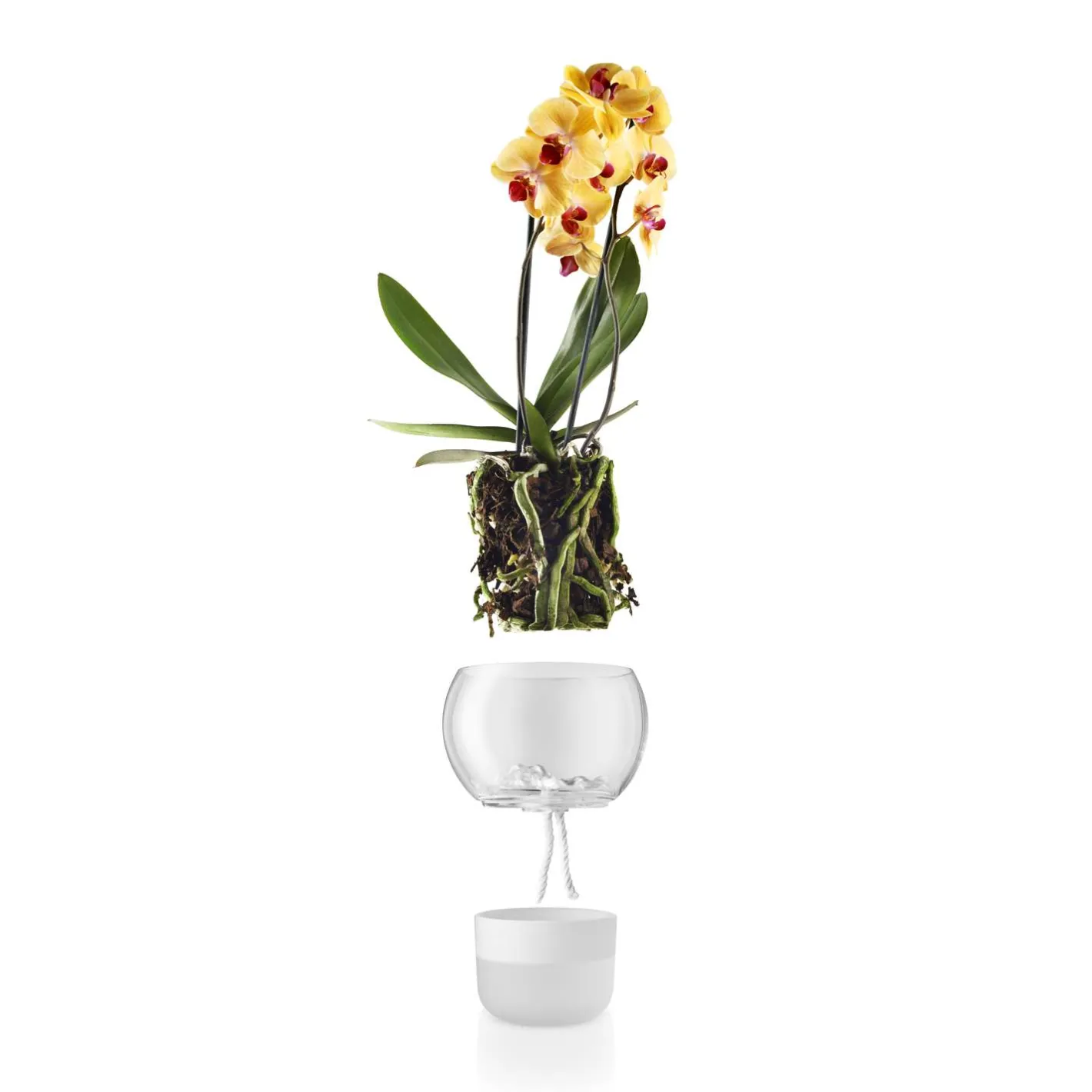 Eva Solo Selvvandende Potter^Orkidepotte - 15 cm - Glass