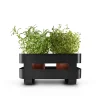 Eva Solo Selvvandende Potter^Selvvandende Herb organiser stål - Black