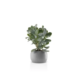 Eva Solo Vaser & Lysestager^Stone urtepotte - Ø 16 cm - Keramik