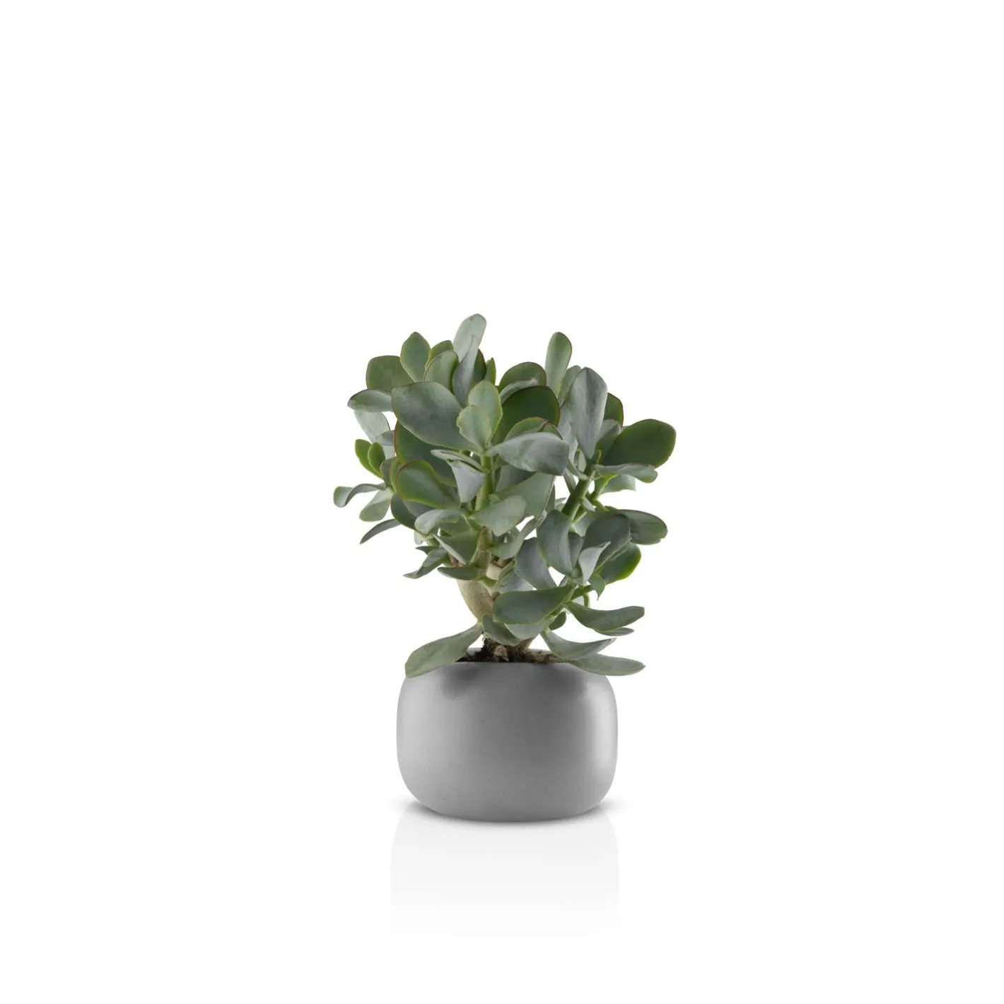 Eva Solo Vaser & Lysestager^Stone urtepotte - Ø 16 cm - Keramik