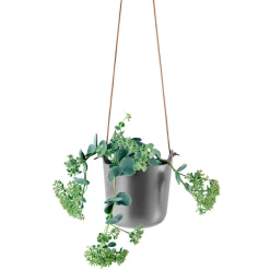 Eva Solo Selvvandende Potter^Urtepotte - 15 cm - Nordic Grey