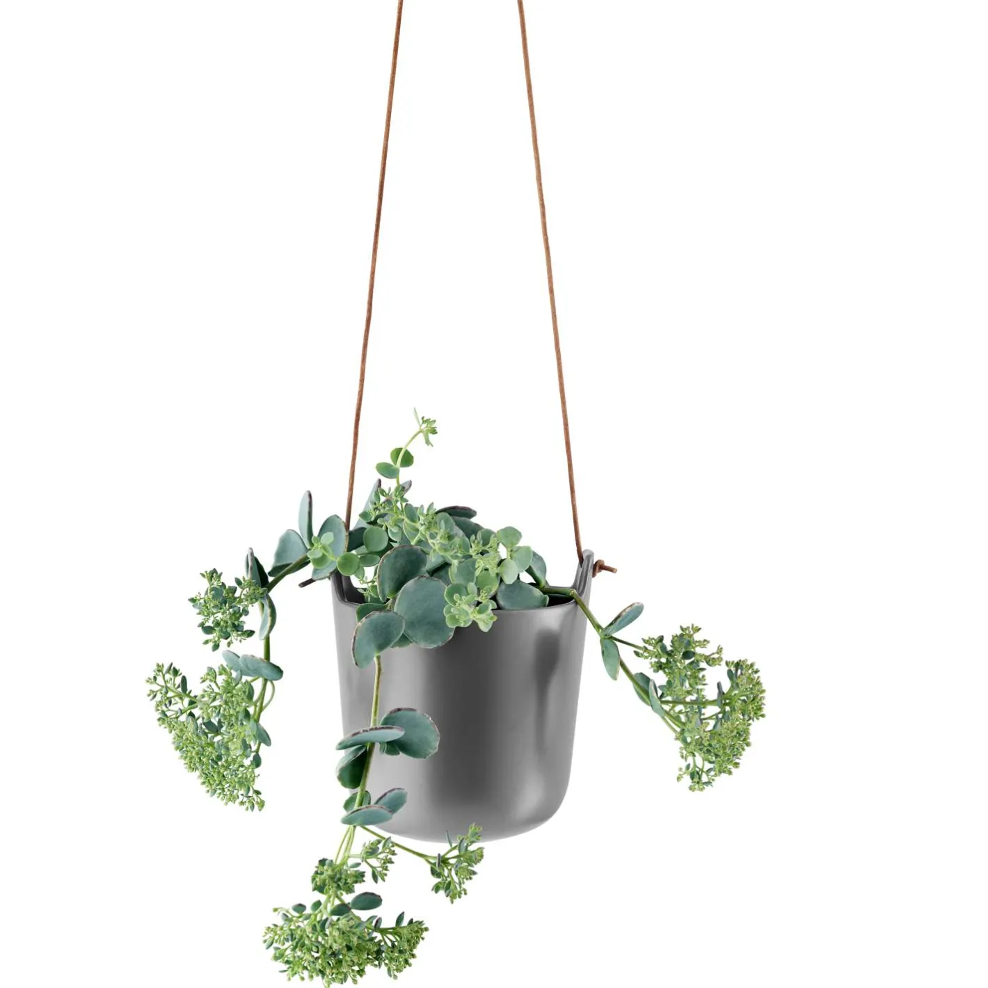Eva Solo Selvvandende Potter^Urtepotte - 15 cm - Nordic Grey