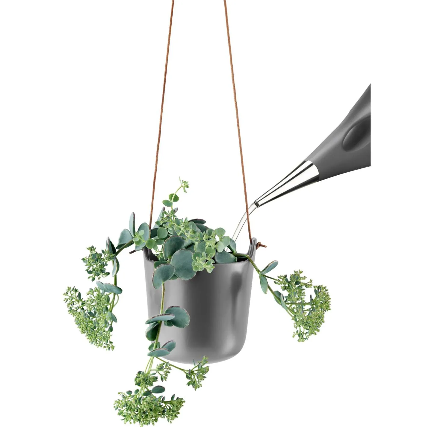 Eva Solo Selvvandende Potter^Urtepotte - 15 cm - Nordic Grey